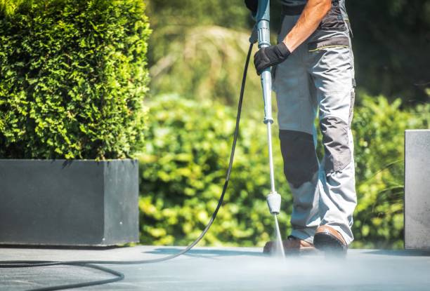 Best Roof Washing  in Molalla, OR