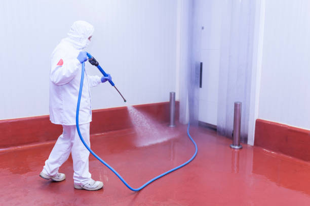 Best Machinery and Equipment Cleaning  in Molalla, OR