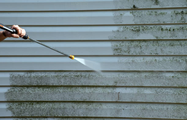 Best Driveway Pressure Washing  in Molalla, OR